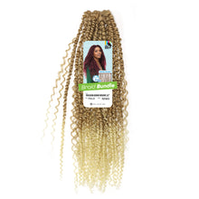 Load image into Gallery viewer, Braid Bundle - Passion Boho Weave 22”